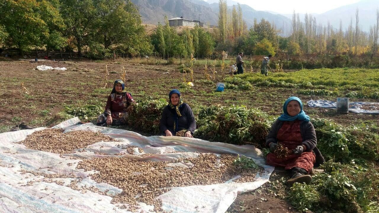 کارآفرینی زنان روستایی